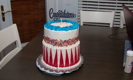 Carnival Theme Chocolate Bottom Chiffon Cake Top.