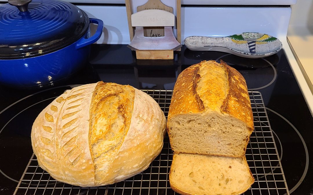 Sourdough Bread