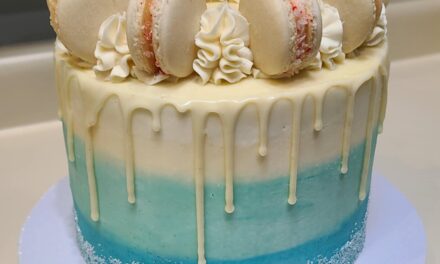 Wintery Theme, Red Velvet Cake Top with Macarons